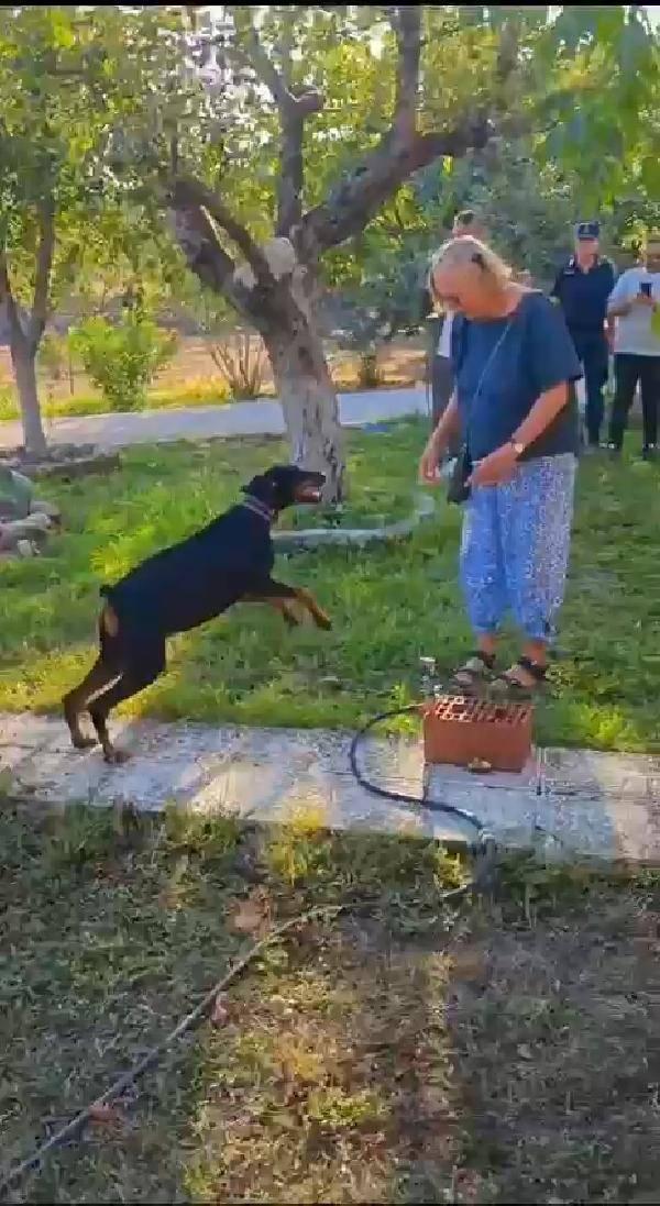 Gizemli bir şekilde kaybolan ekonomist Korhan Berzeg'i arama çalışmaları sonlandırıldı