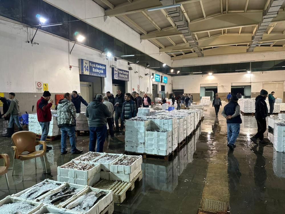 Balık mezadında kasalar dolusu hamsi kapış kapış satıldı