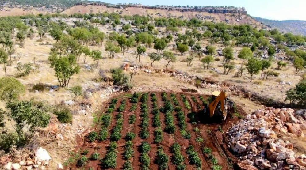 Zehir tacirlerinin tepesine binildi! Kilolarca uyuşturucu...