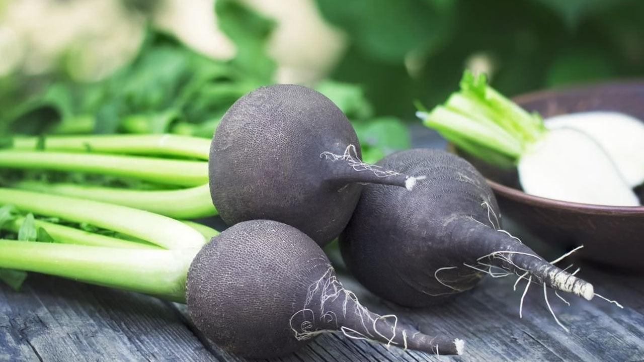 Kırmızı, siyah ve beyaz turpun faydaları nelerdir? Kırmızı turp hangi hastalıklara iyi gelir?