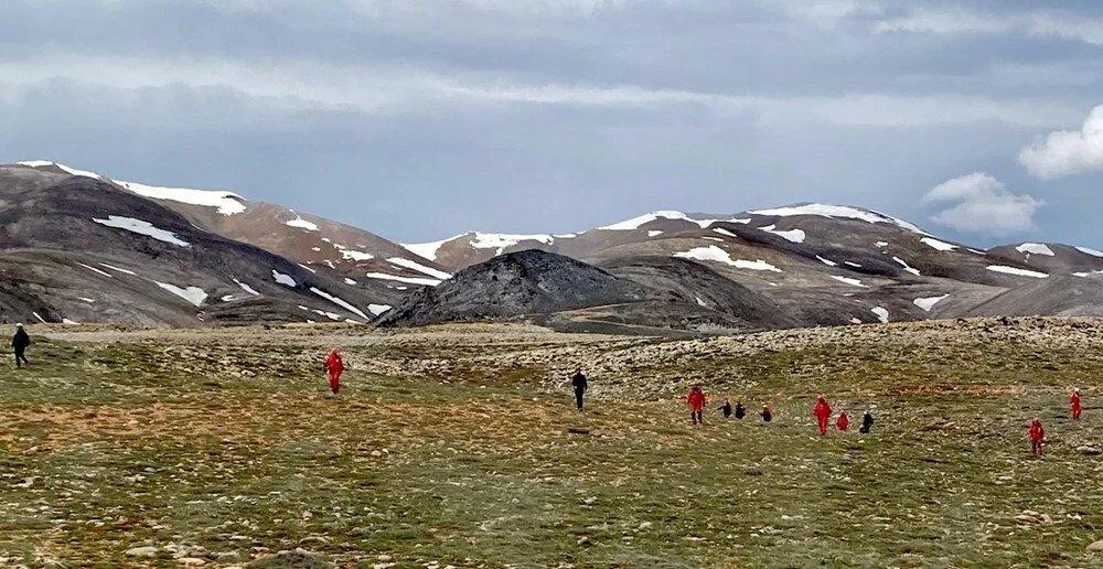 Yıldız Dağı'nda kayboldu! Emekli öğretim üyesinden hala bir iz yok