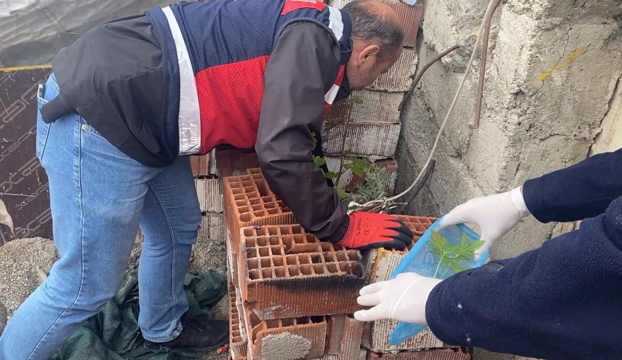 Sinop merkezli 7 ilde uyuşturucu operasyonu düzenlendi: 19 gözaltı