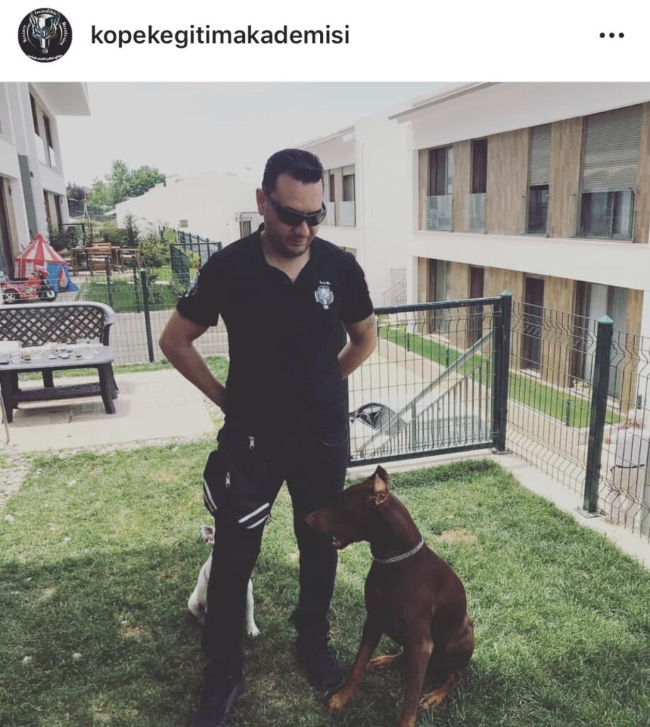 S.I.R K9 Akademisi: Köpek Eğitiminde Güven ve Başarının Adı