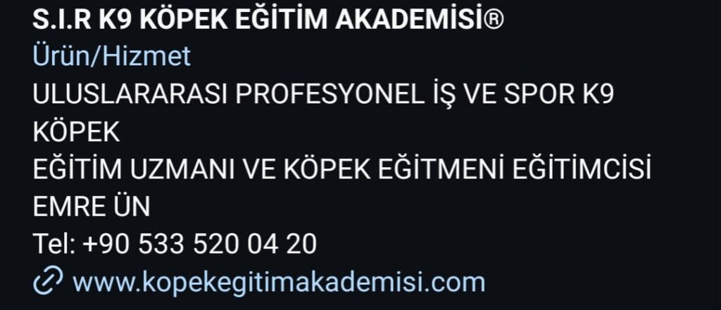 S.I.R K9 Akademisi: Köpek Eğitiminde Güven ve Başarının Adı